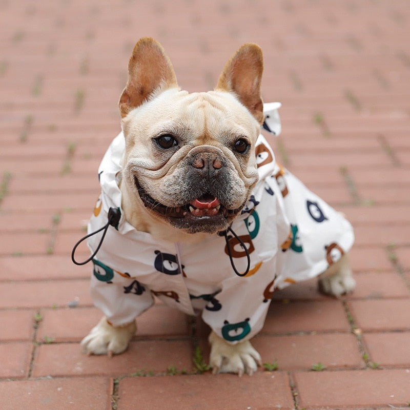 Bear Raincoat