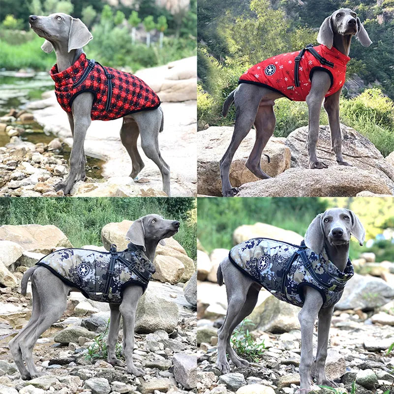 Jacket Waterproof With Harness