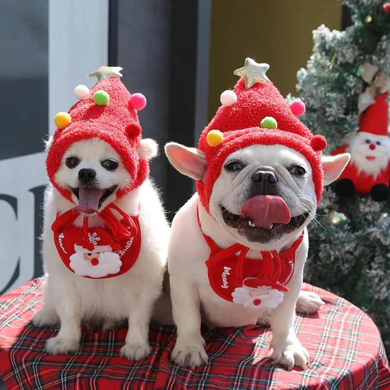 Funny Dog Christmas Hat