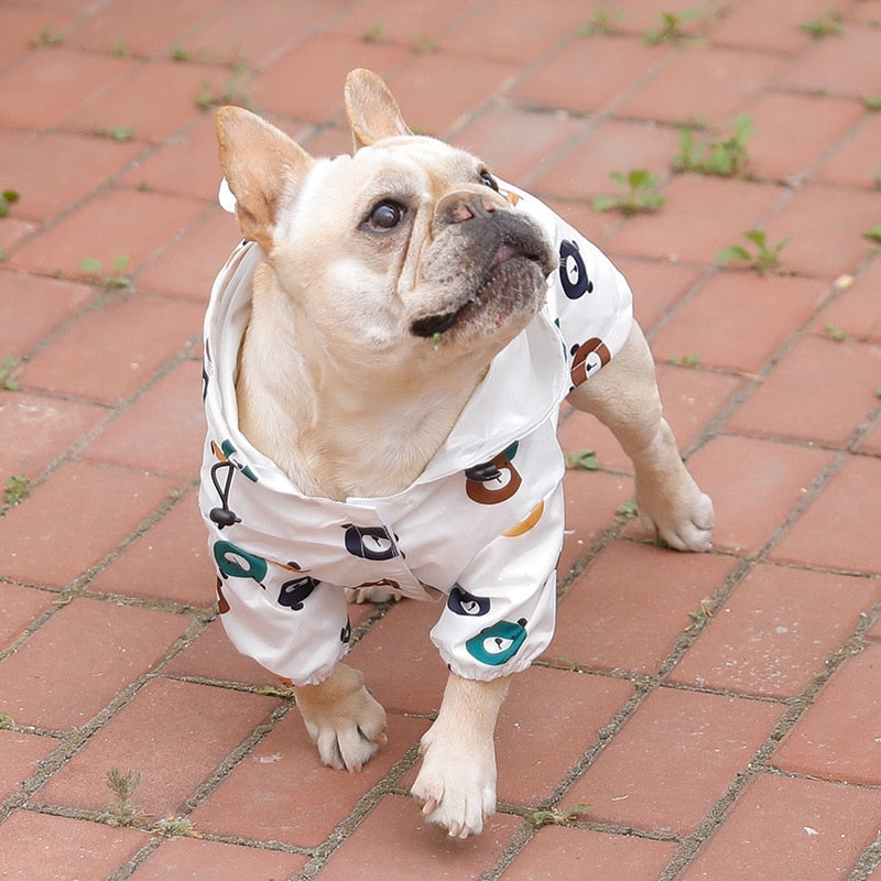 Bear Raincoat