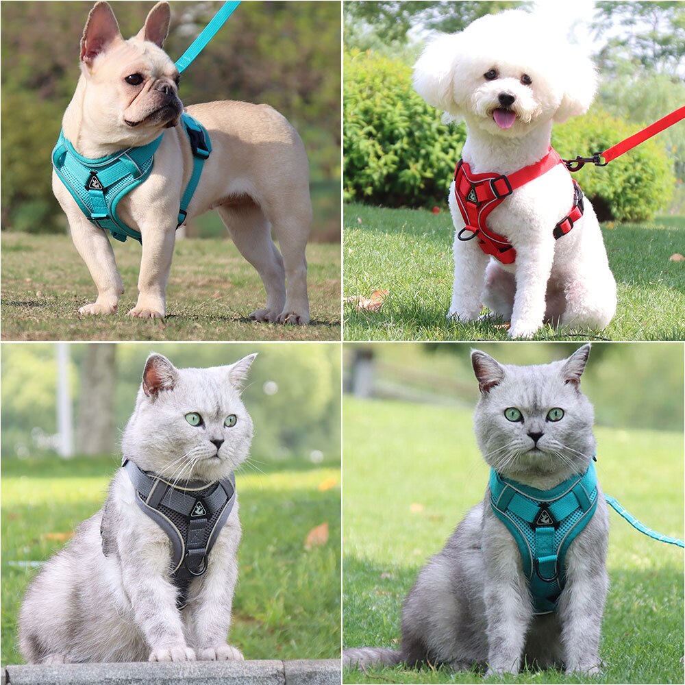 Dog Harness Leash