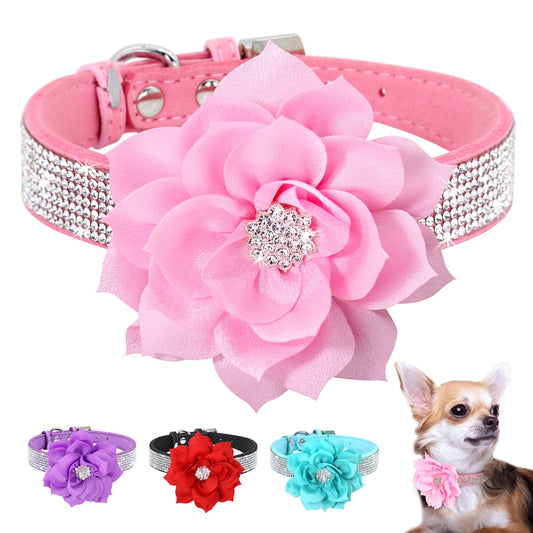 Bling Rhinestone  Collar