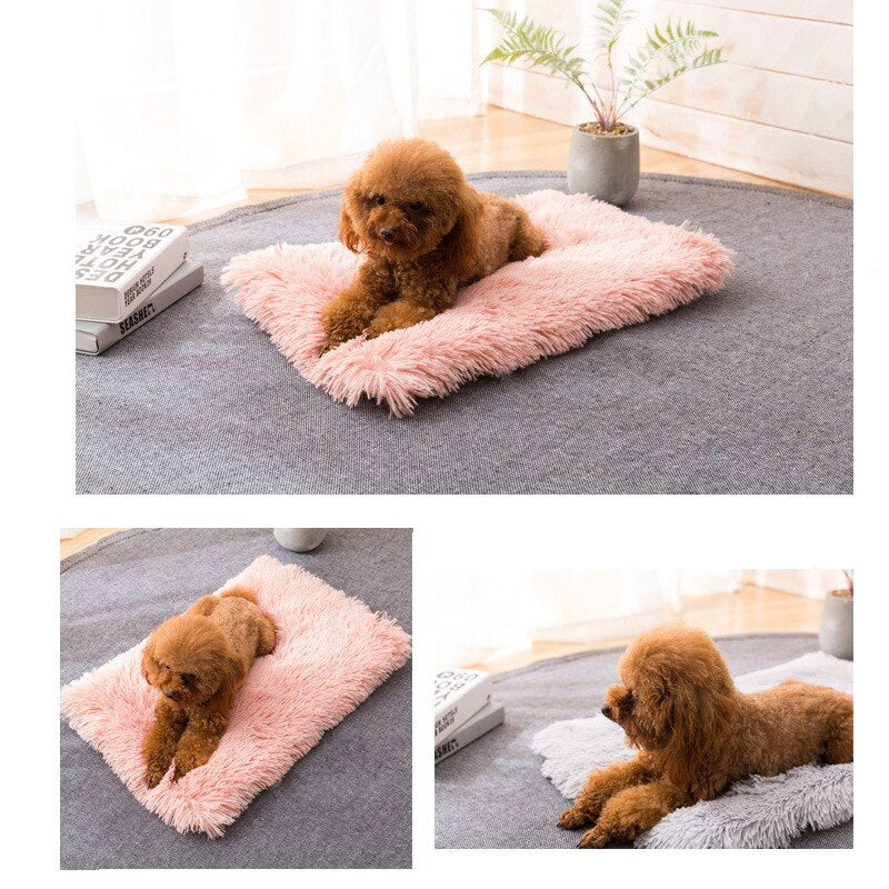 Super Soft Pet Bed