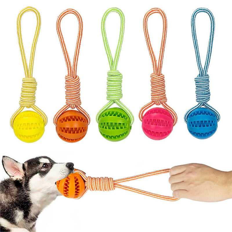 Dog Toys Treat Balls Interactive