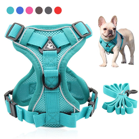 Dog Harness Leash