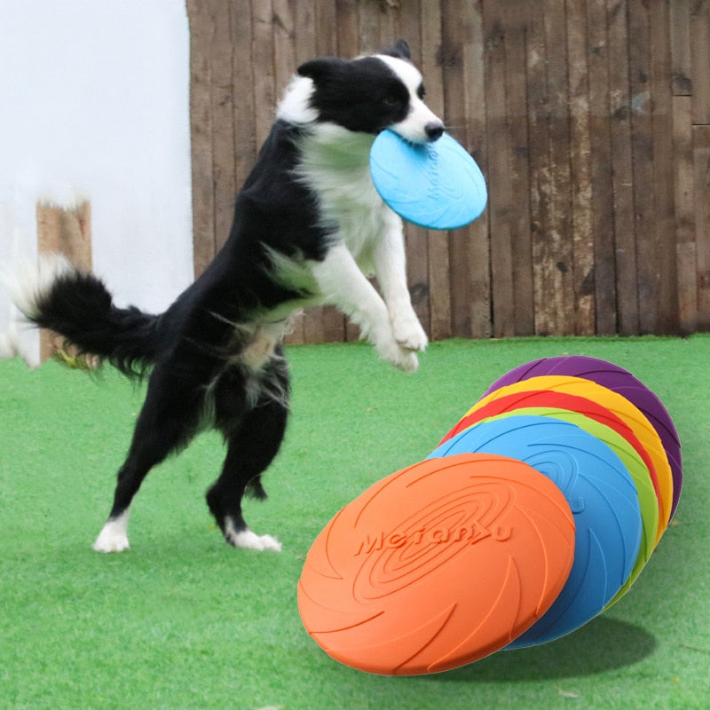 Flying Disk Toy